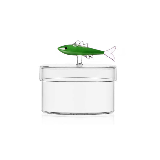 Scatola sardina verde