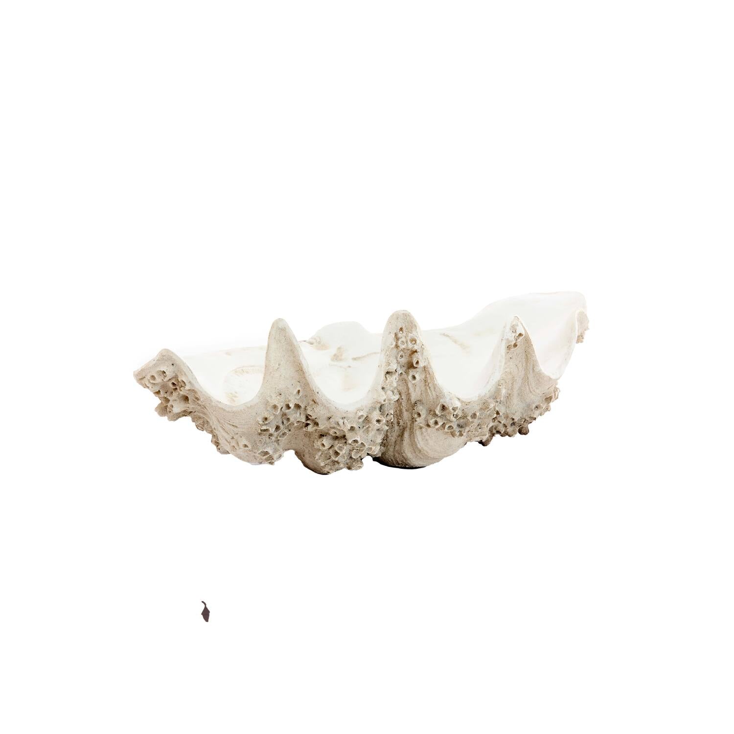 Ornamento SHELL  – Taupe + Crema