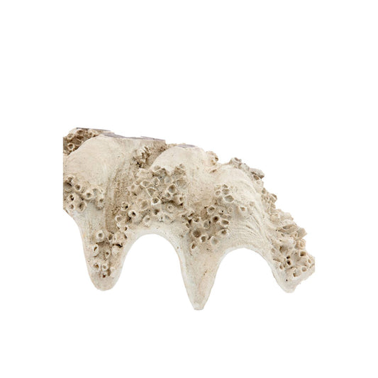 Ornamento SHELL  – Taupe + Crema