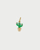 CHARM CACTUS RUE DES MILLES