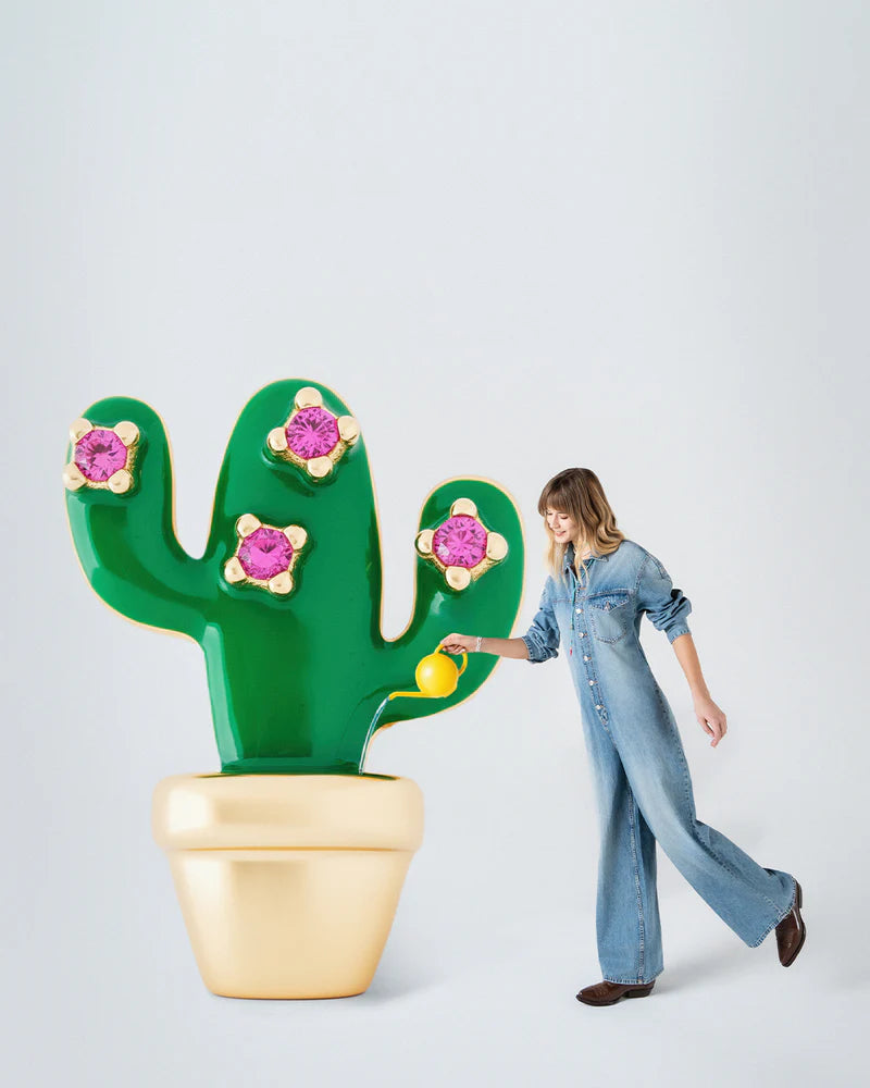 CHARM CACTUS RUE DES MILLES