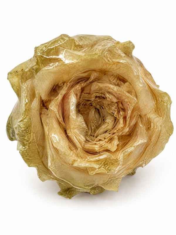 CHARMS ROSELLINE